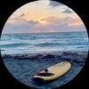 seaotter55